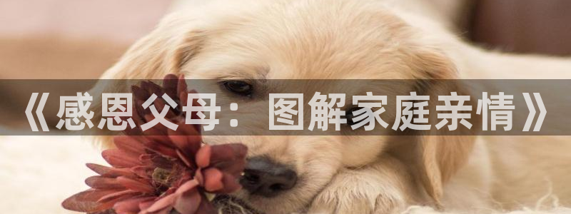 漫蛙正版官方入口