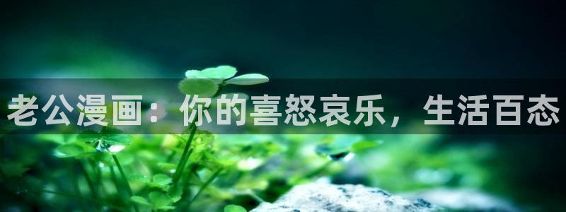 漫蛙最新网页