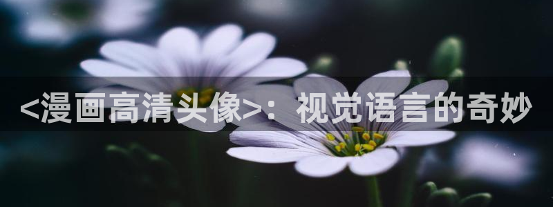 漫蛙2免费下载正版入口：<漫画高清头像>：视觉语言的奇妙