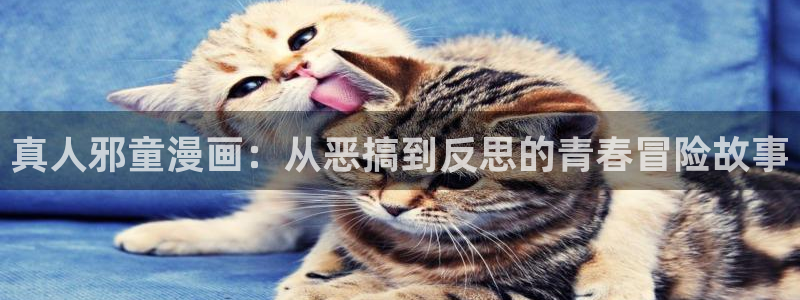 漫蛙长什么样：真人邪童漫画：从恶搞到反思的青春冒险故事