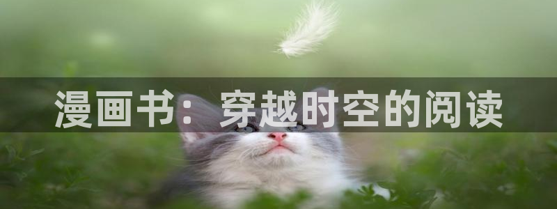 是漫蛙：漫画书：穿越时空的阅读