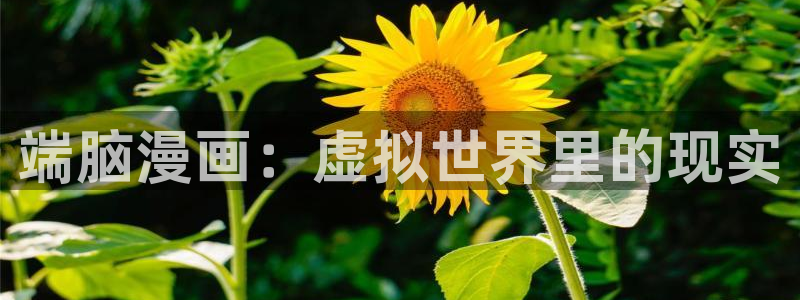 漫蛙manwa官网版链接