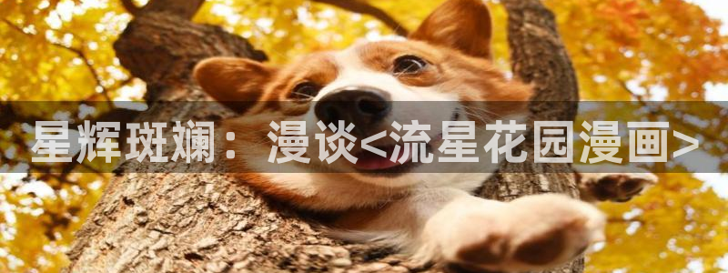 漫蛙2manwa2防走失