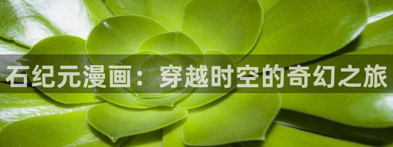 漫蛙漫画网站永久入口2024