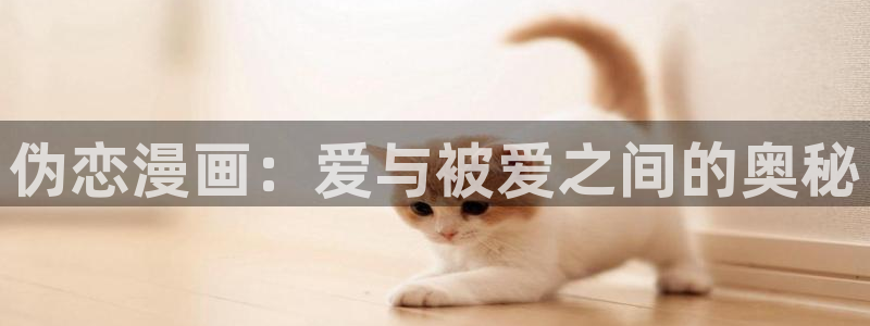 漫蛙漫画网页版入口