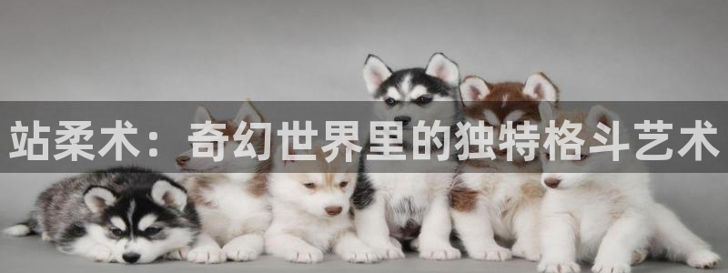 漫蛙的官网入口网页