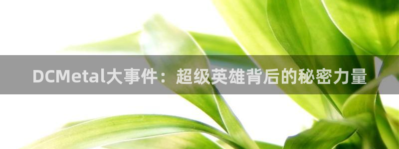 漫蛙2网页版链接入口