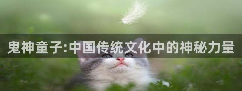 漫蛙2下载安装