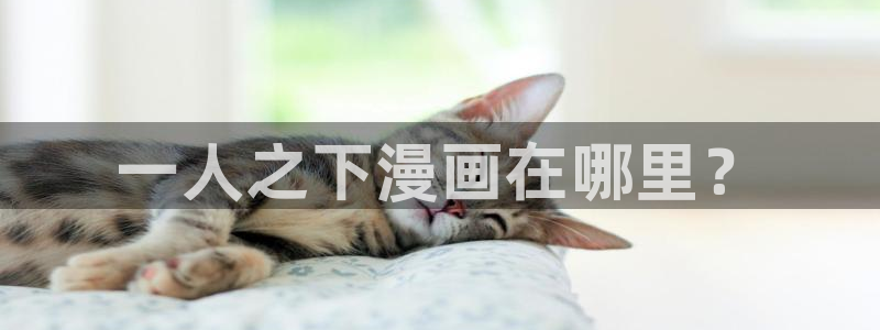 漫蛙网址入口防走失