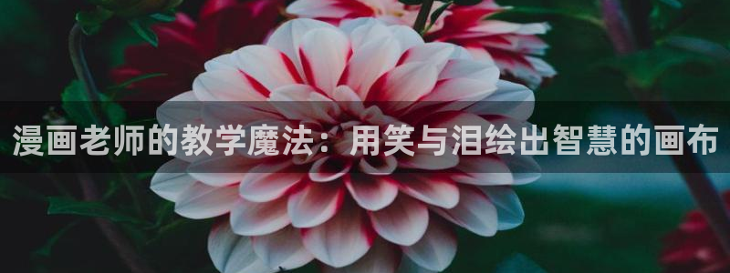 漫蛙漫画官网app网页