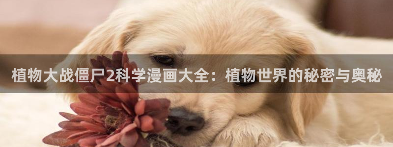 漫蛙manwa官网版入口下载