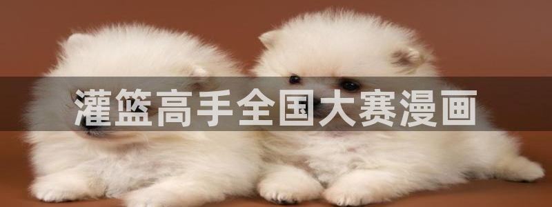 下载漫蛙
