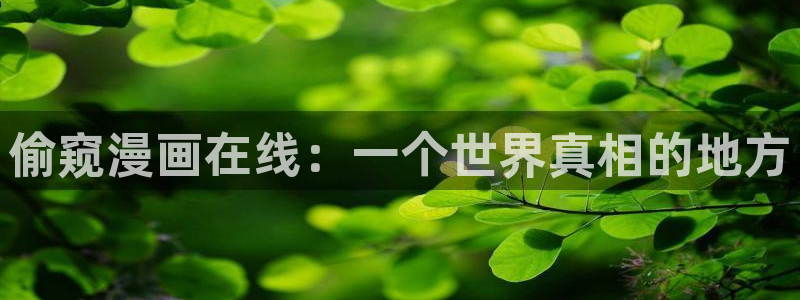 漫蛙网页入口(2025)